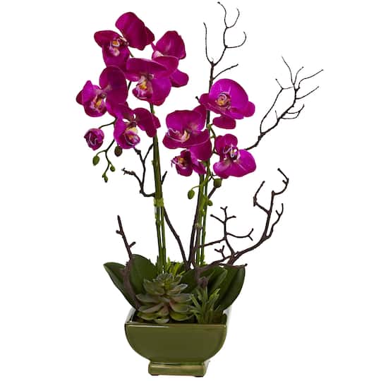 21&#x22; Orchid &#x26; Succulent Floral Arrangement in Ceramic Pot